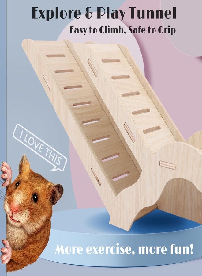 kcrygogo Large Size Syrian Hamster Explorer Set - Snap-Together Wooden Burrow with Panoramic Window,Natural Chew-Safe Design Decorative Landscaping Digging Peeping Hide Underground Fun for Cage Enrichment - Image 5